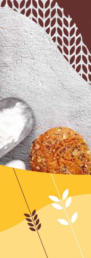 Bran Bakery Brand Manual 03 Bran Bakery Brand Manual 03